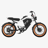 LUCKEEP M5 Ultra 20" Electric Dirt Motorbike 1000W*2 Dual Motors 52V 20Ah+20Ah Battery