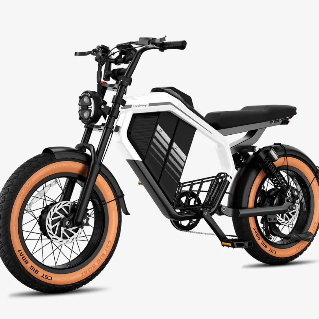 LUCKEEP M5 Ultra 20" Electric Dirt Motorbike 1000W*2 Dual Motors 52V 20Ah+20Ah Battery