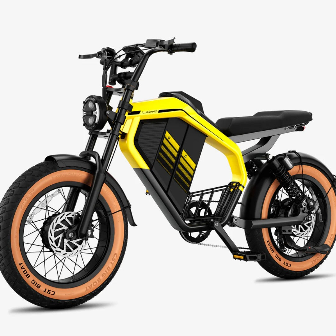 LUCKEEP M5 Ultra 20" Electric Dirt Motorbike 1000W*2 Dual Motors 52V 20Ah+20Ah Battery