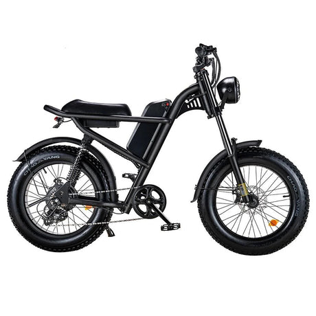Riding Times 20'' Fat Tires All-Terrain Electric Bike 500W Motor 48V 15Ah Battery