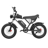 RIDSTAR-Q20-Fat-Tires-Electric-dirt-Bike-1000W-Motor-48V-20Ah-Battery