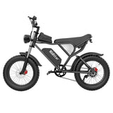 RIDSTAR Q20 Fat Tires Electric Bike 1000W Motor 48V 20Ah Battery