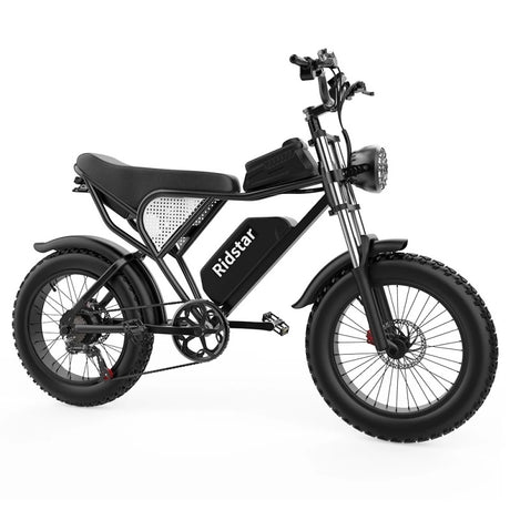 RIDSTAR Q20 Fat Tires Electric Bike 1000W Motor 48V 20Ah Battery