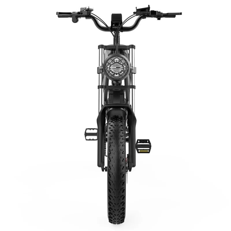 RIDSTAR Q20 Fat Tires Electric Bike 1000W Motor 48V 20Ah Battery