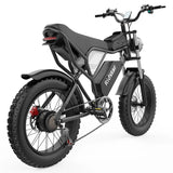 RIDSTAR Q20 Fat Tires Electric Bike 1000W Motor 48V 20Ah Battery