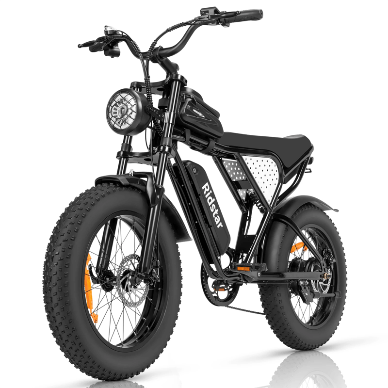 RIDSTAR Q20 Lite 20 Fat Tires Electric Bikes 1000W Motor 48V 15Ah Bat Gleeride