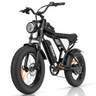 RIDSTAR Q20 Lite Fat Tires Electric Bike 1000W Motor 48V 15Ah Battery
