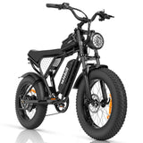 RIDSTAR Q20 Lite Fat Tires Electric Bike 1000W Motor 48V 15Ah Battery