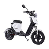 BEZIOR XIAONIU B 20" Off-Road Electric Bike 1500W Motor 48V 20Ah Battery